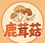 荣大婶鹿茸菇抖音达人头像