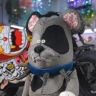 贝勒爷1抖音达人头像