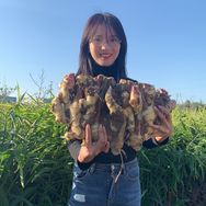 小益学农 百番裕农抖音达人头像