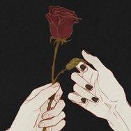 情感止痛片抖音达人头像