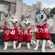 李二狗克力克抖音达人头像