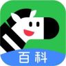 斑马百科品牌号抖音号头像