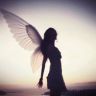 Angel抖音达人头像