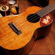 五度乐器抖音达人头像