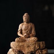 杭州动播体育文化有限公司抖音达人头像