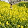 婷婷努力中(关必回)抖音达人头像