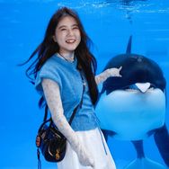 虎牙浪游记抖音达人头像