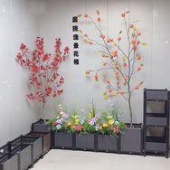 种植箱实力工厂抖音达人头像