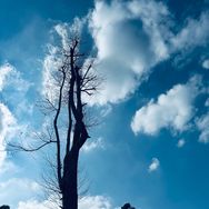 汪格抖音号头像