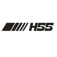H55官方旗舰店抖音达人头像