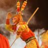 长春动植物公园夜游花絮抖音达人头像