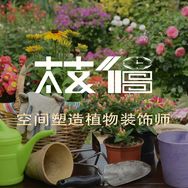 植得Plantgain抖音达人头像