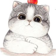 蓝猫多宝抖音达人头像