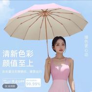 天空SkyCanvas伞厂【溯源】抖音达人头像
