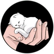勋哥的救援日记抖音达人头像