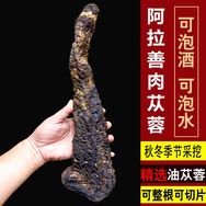 乐康滋补堂抖音达人头像