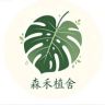森禾植舍抖音达人头像