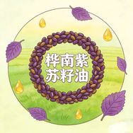 桦南原厂原生态紫苏油抖音达人头像