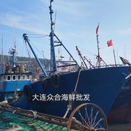 大连众合海鲜（梭子蟹、虾怪季）抖音达人头像