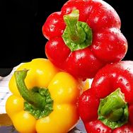 爷爷家的菜园子抖音号头像