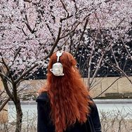 Aliya。抖音达人头像