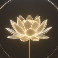 晚乔抖音达人头像