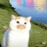 小楠抖音达人头像