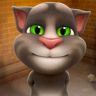 宗源玩猫抖音达人头像