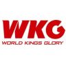 WKG综合格斗赛抖音达人头像