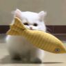 Bobo卜抖音达人头像