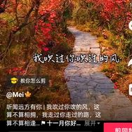 五角星甄选抖音达人头像