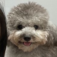 本华是个反骨仔抖音达人头像