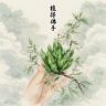 植得川佛手抖音达人头像