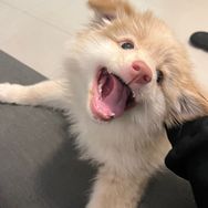是抱抱啊抖音达人头像