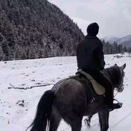 是楠sir抖音达人头像