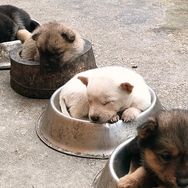 待更新抖音达人头像