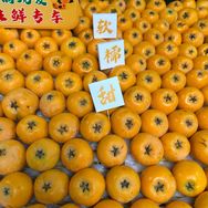 四川高山五星枇杷直发抖音号头像