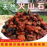 园艺小优抖音达人头像