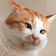 Bddbddbdd抖音达人头像