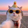 猫小哥抖音达人头像