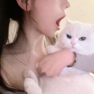 不是ee抖音达人头像