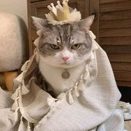 小果子美食抖音达人头像