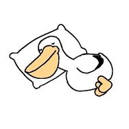 小河动画抖音达人头像