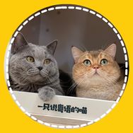 im-max抖音达人头像