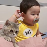 糖豆豆爱猫抖音达人头像