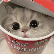 金之本佳抖音达人头像