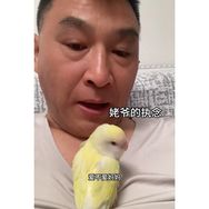 姥爷的小蛋黄抖音达人头像
