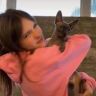 猫凡抖音达人头像