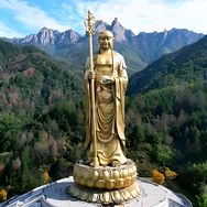 悟心📿抖音达人头像