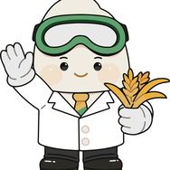 膳阶速食旗舰店抖音号头像